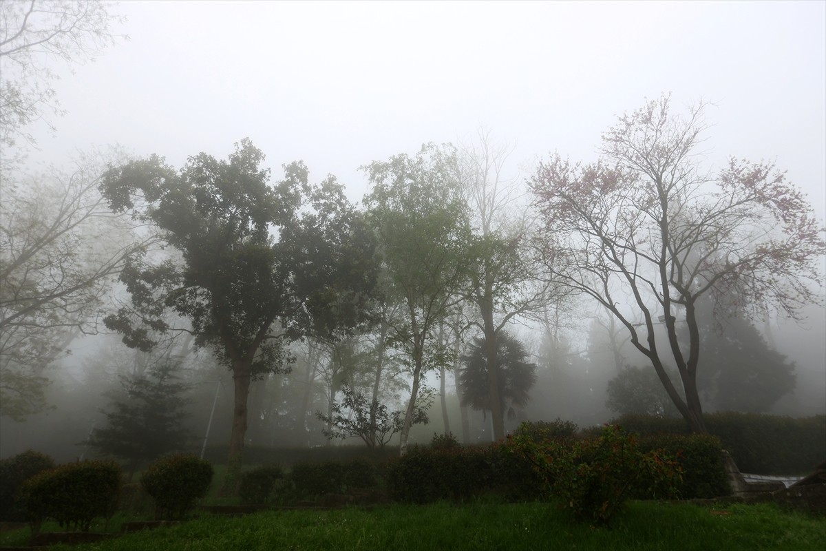 Trabzon'da gece saatlerinde başlayan sis, kent merkezinde etkili oldu.  