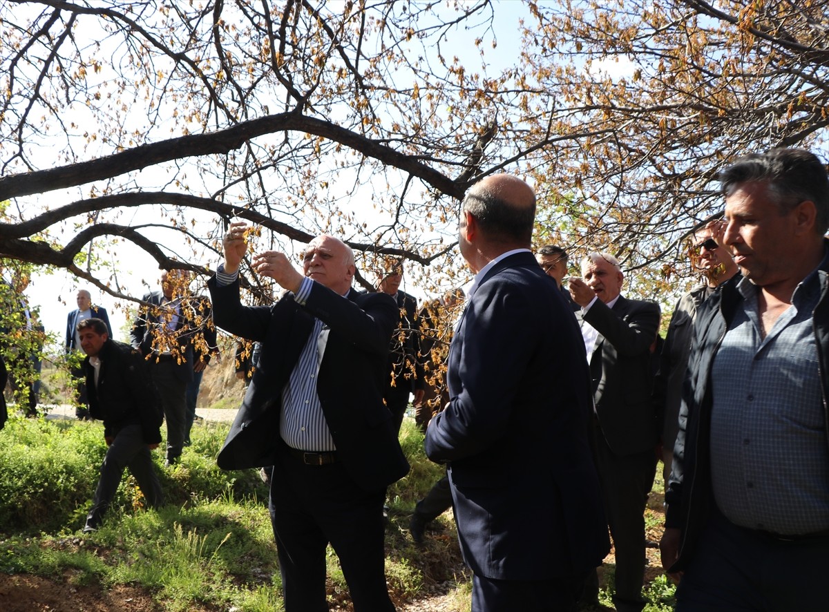 Türkiye Ziraat Odaları Birliği (TZOB) Genel Başkanı Şemsi Bayraktar (solda), Elazığ'ın Baskil...