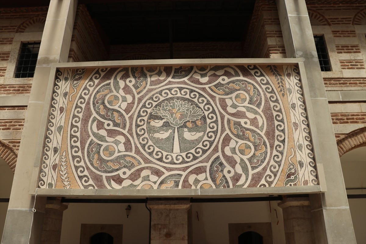 Amasya Üniversitesi öğrencileri, kentte 2013 yılında kurtarma kazısında ulaşılan, 1800 yıllık elma...