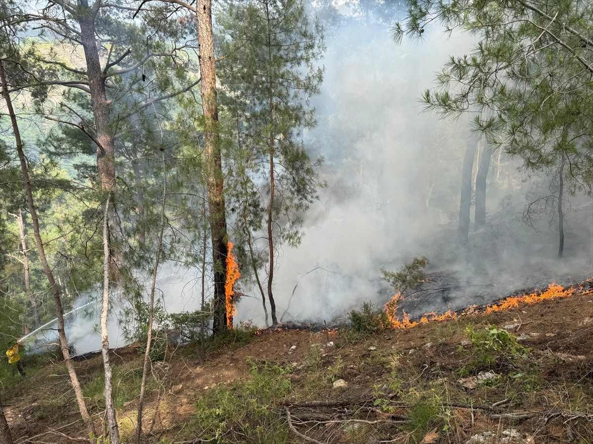 Antalya'nın Kumluca ilçesinde çıkan orman yangını, havadan ve karadan müdahaleyle kontrol altına...