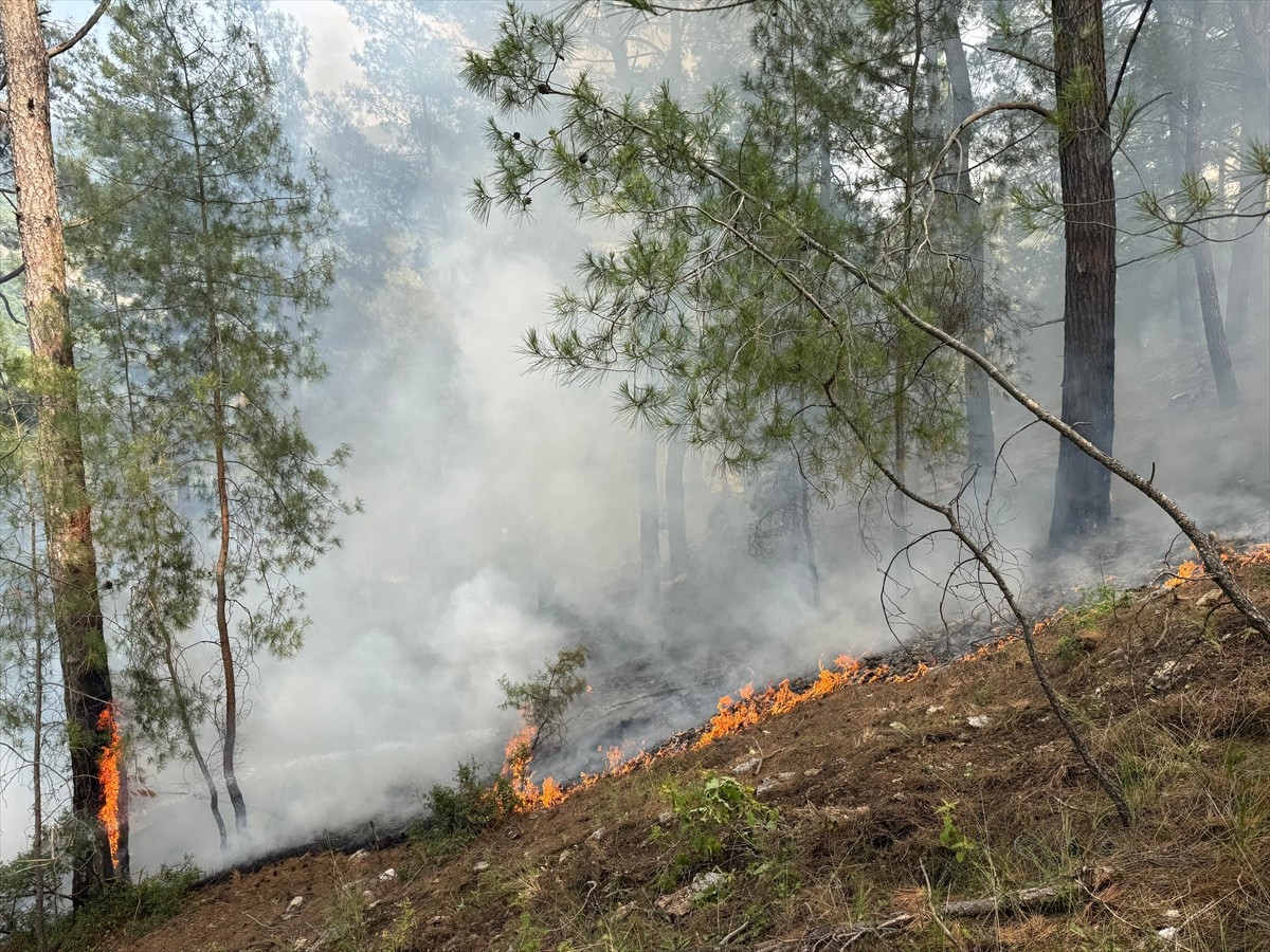 Antalya'nın Kumluca ilçesinde çıkan orman yangını, havadan ve karadan müdahaleyle kontrol altına...