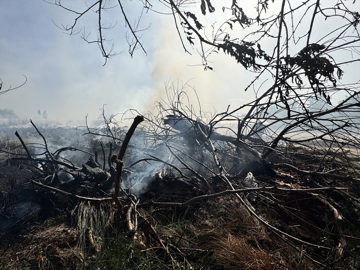 Antalya'nın Muratpaşa ilçesinde ormanlık ve sazlık alanda çıkan yangın itfaiye ekiplerinin...
