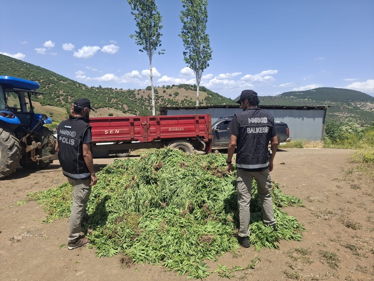 Balıkesir'de evde kurdukları damlama sulama sistemiyle Hint keneviri yetiştirdikleri öne sürülen 5...