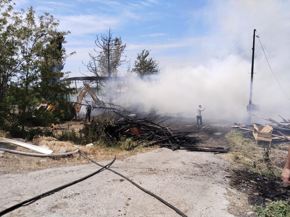 Balıkesir'in Ayvalık ilçesinde, kereste deposunda çıkan yangın, itfaiye ekiplerince...