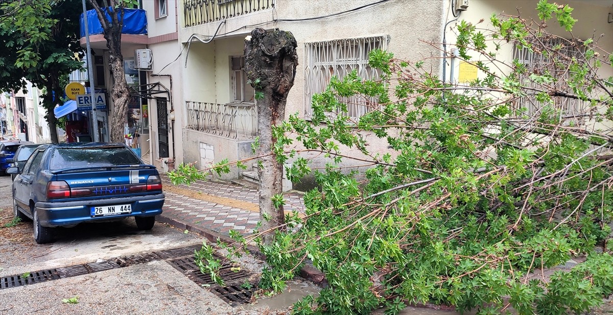 Bilecik'te etkili olan sağanak ve fırtına nedeniyle kurulu çadırlar uçtu, ağaçlar devrildi, 1 kişi...