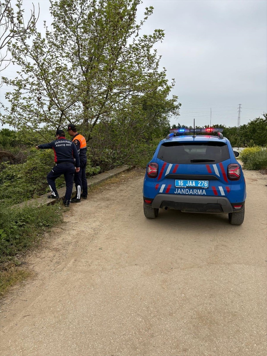 Bursa'da, İznik Gölü'nde kaçak avcılık yapan 13 kişiye, 164 bin lira idari para cezası...