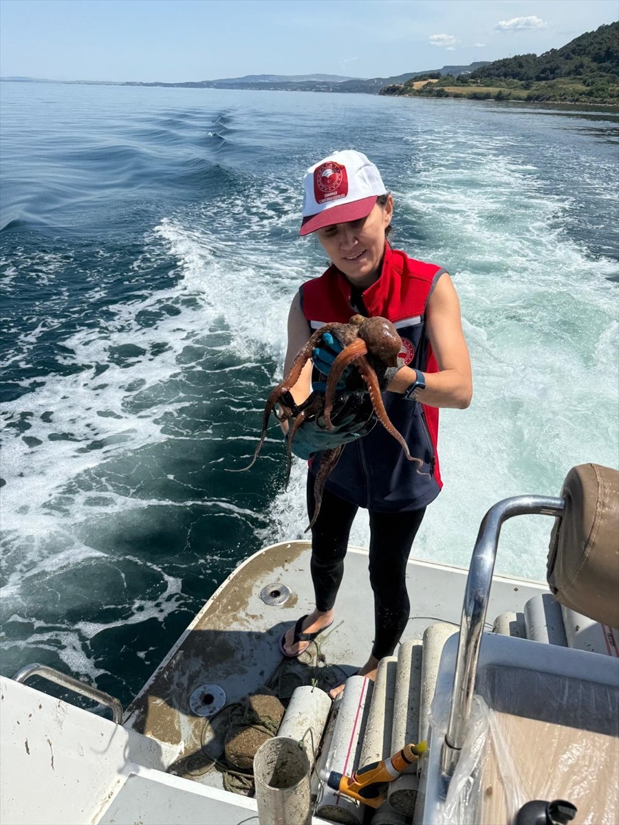 Çanakkale İl Tarım ve Orman Müdürlüğü Balıkçılık ve Su Ürünleri Şubesi ekiplerince, sürdürülebilir...