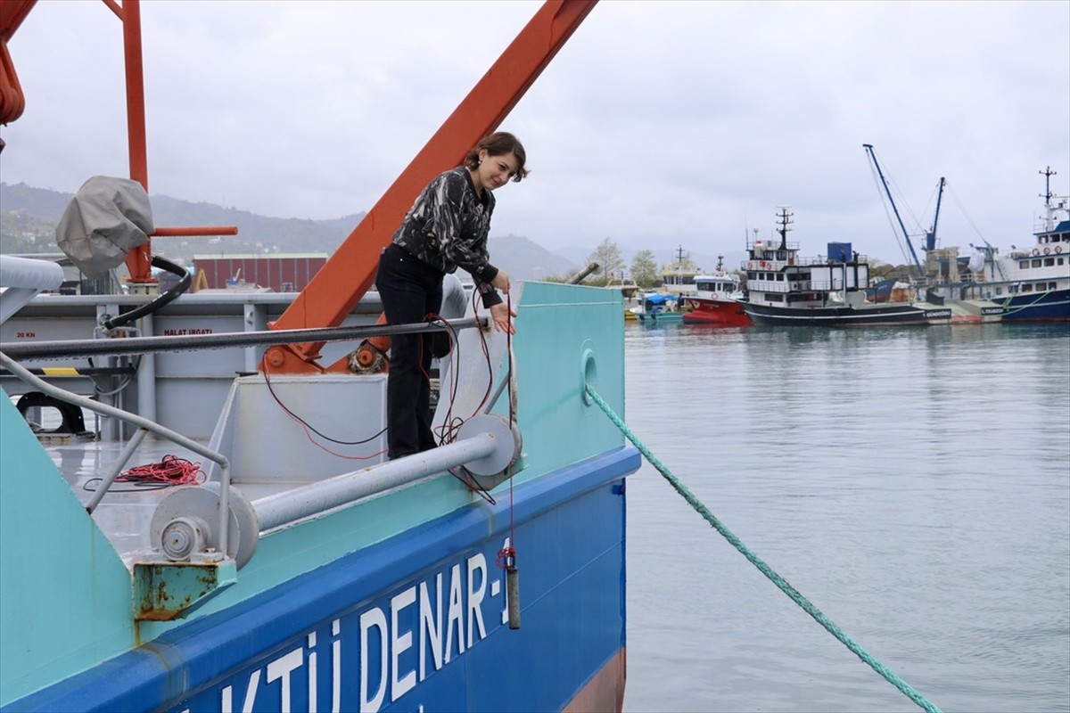 Doğu Karadeniz'deki deniz canlılarının iletişim, beslenme, üreme gibi davranışlarını etkilediği...