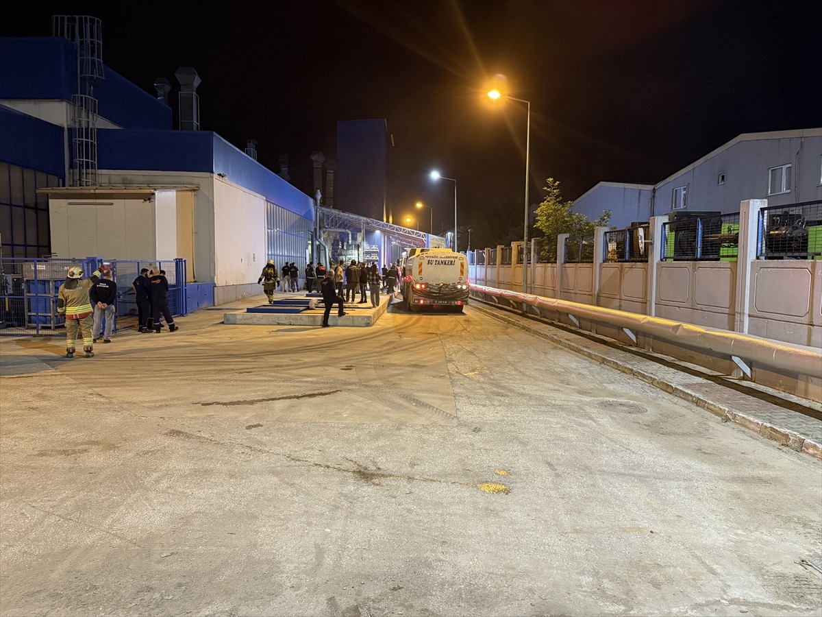 Düzce Organize Sanayi Bölgesi'ndeki fabrikada çıkan yangın hasara neden oldu.