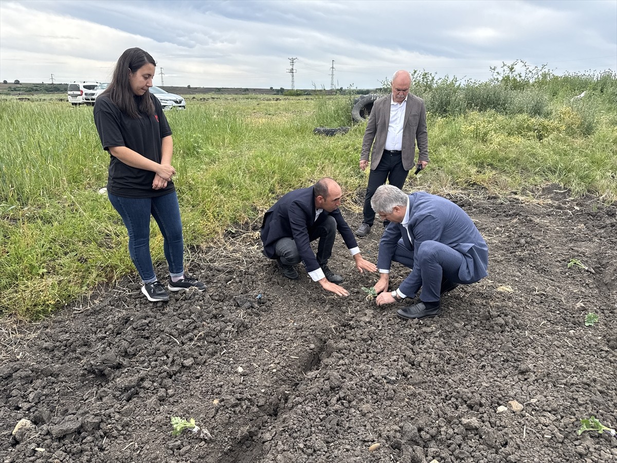  Edirne'de, Bitkisel Üretim Genel Müdürlüğünün "Tarım Arazilerinin Kullanımının Etkinleştirilmesi"...