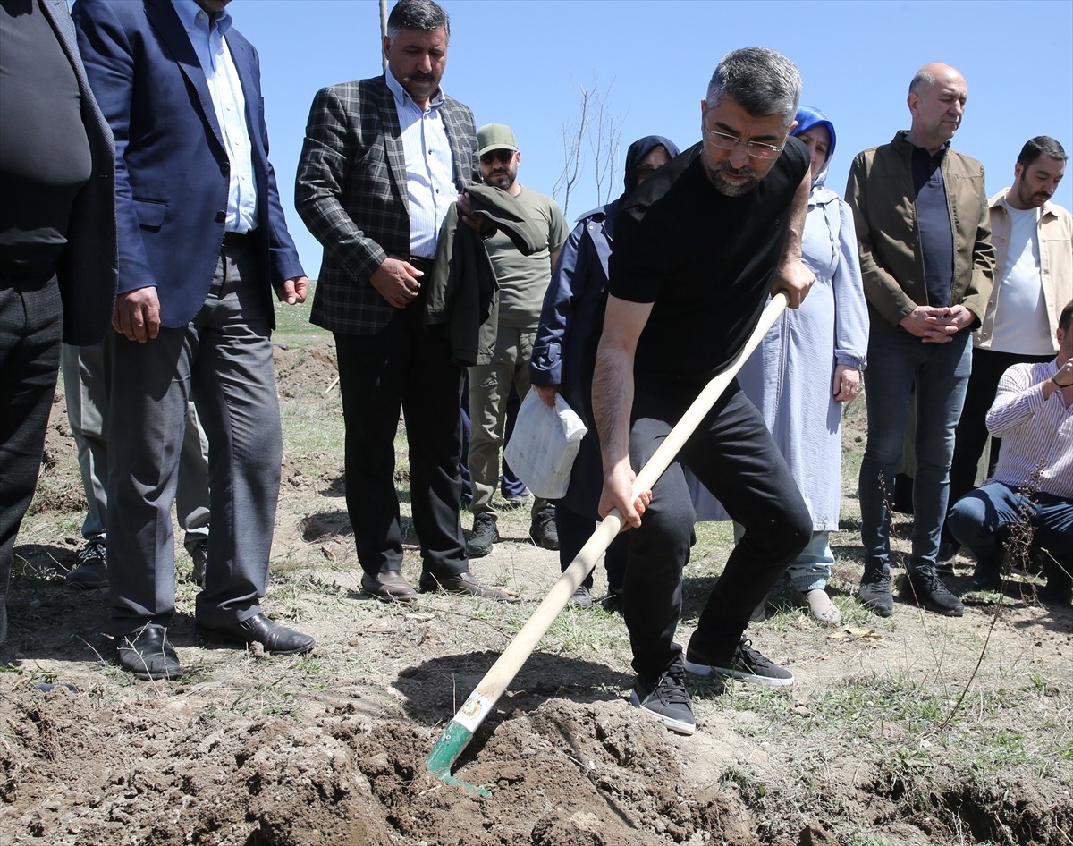 Erzurum'da AK Parti İl Başkanlığınca 20 ilçede eş zamanlı fidan dikim etkinliği gerçekleştirildi....