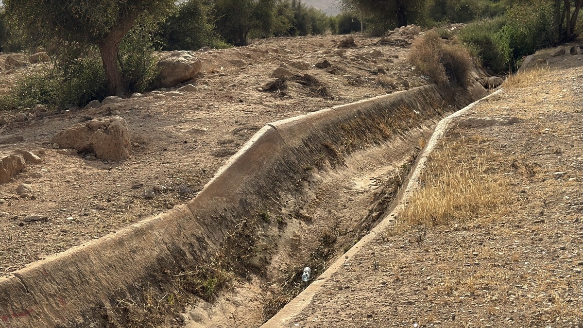 Filistinli yetkililer, işgal altındaki Batı Şeria'nın en önemli doğal kaynaklarından Auca...