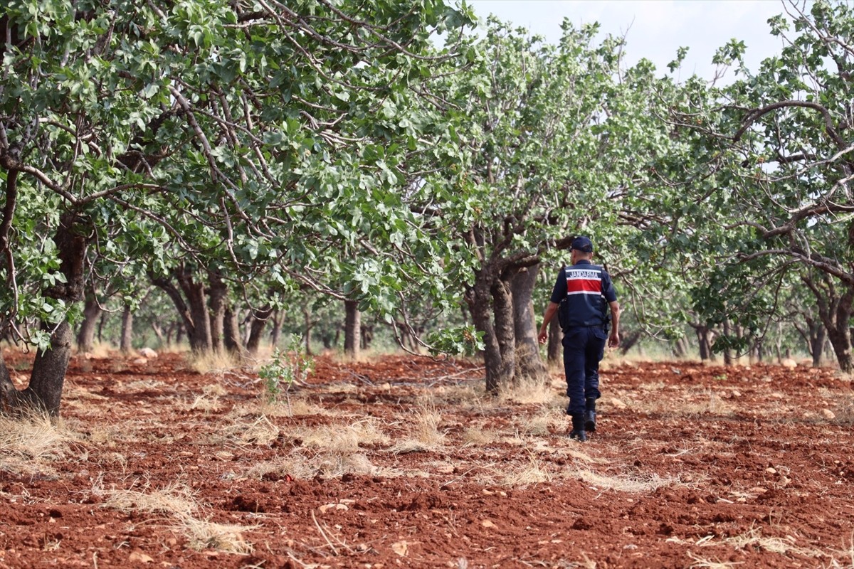 Gaziantep'in Araban ilçesinde kaybolan 10 yaşındaki otizmli çocuğu bulmak için başlatılan arama...