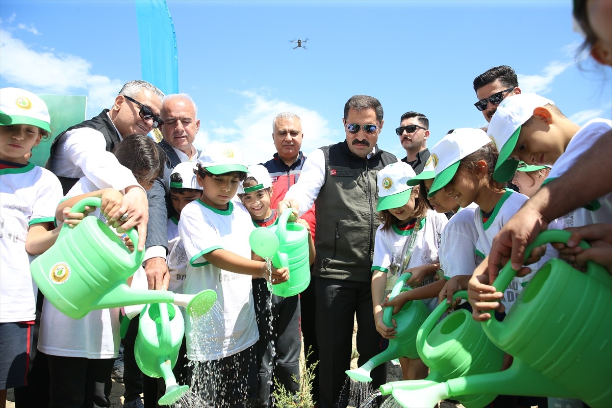 Hatay'ın Belen ilçesinde 6 Şubat 2023'teki depremlerde hayatını kaybedenler adına hatıra ormanı...