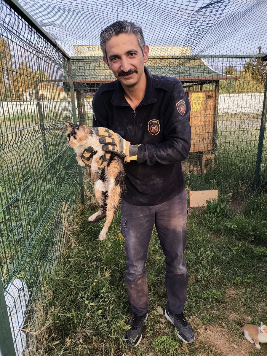Hatay'ın İskenderun ilçesinde bina boşluğuna düşen kedi itfaiye ekiplerince kurtarıldı.
