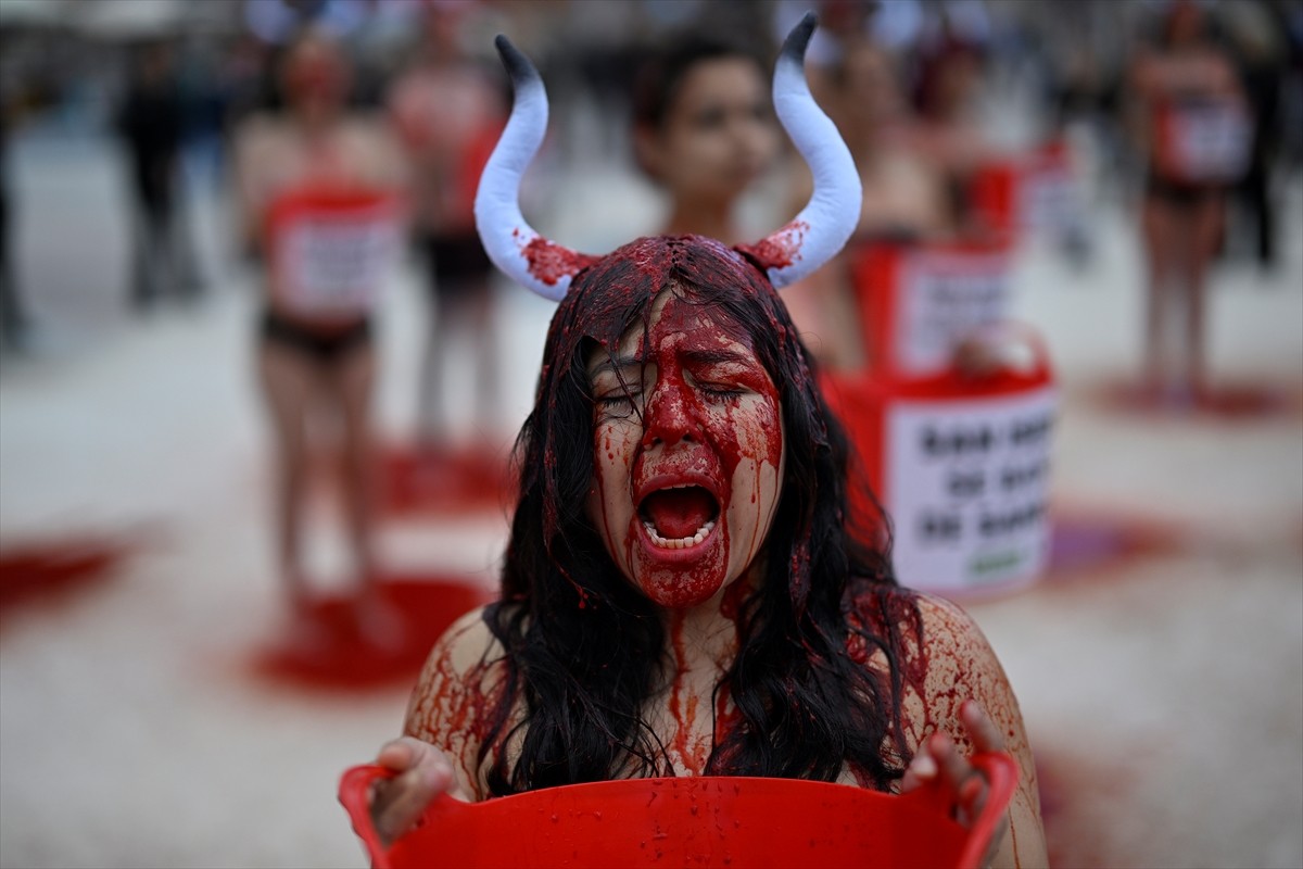 İspanya'da önde gelen iki hayvan hakları derneği Anima Naturalis ve CAS International, başkent...