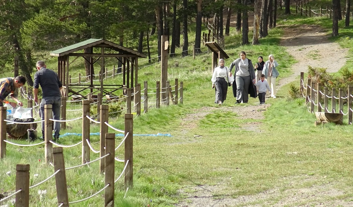 Kars'ın Sarıkamış ilçesinde bulunan "eko turizm" alanı, yağmurların ardından açan rengarenk...
