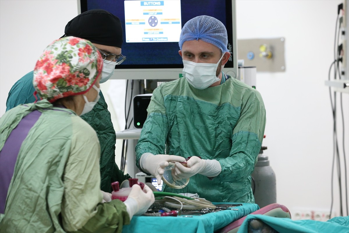 Kars Harakani Devlet Hastanesi'nde kullanılan, kesi olmadan gerçekleştirilen V-Notes cerrahi...