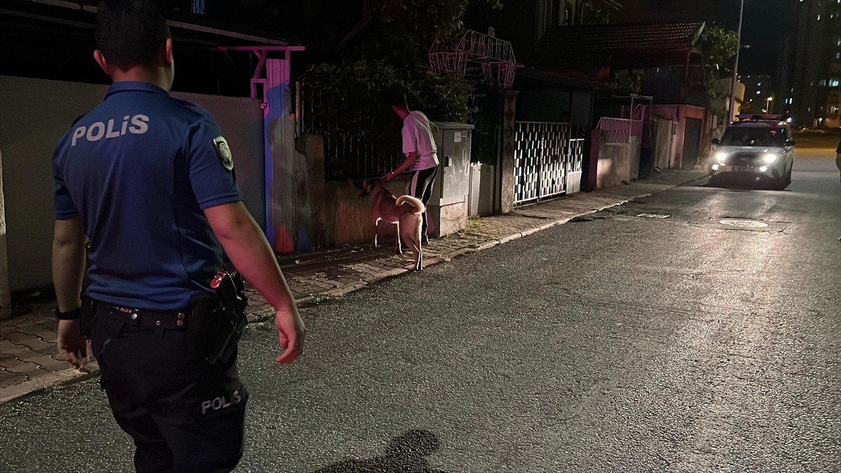 Kayseri'de sahipli köpeğin saldırısında yaralanan çocuk, hastaneye kaldırıldı. Polis olayla ilgili...