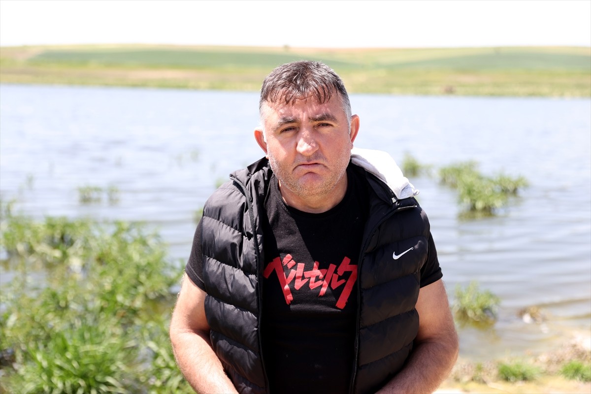  Kırklareli'nin Babaeski ilçesine bağlı Terzili köyündeki gölette balık ölümlerine ilişkin...