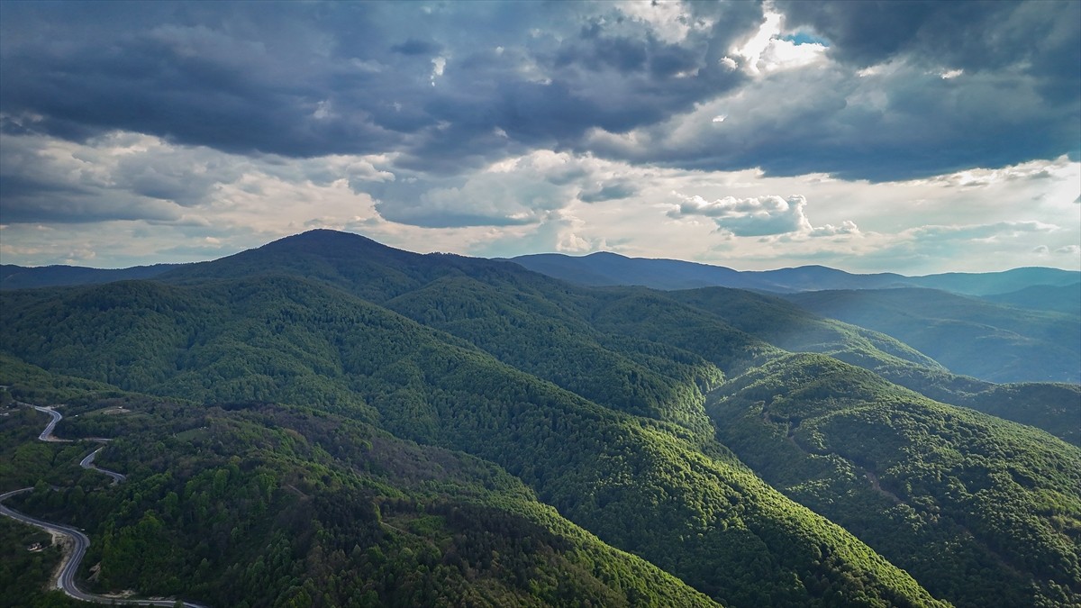 Kütahya ile Bursa'nın doğal sınırını oluşturan Domaniç Dağları'nda ilkbaharla birlikte yeşilin...
