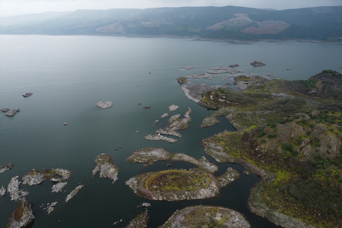 Manisa'nın Salihli ilçesindeki Demirköprü Barajı kıyısındaki lav kalıntıları, üzerinde yuvalanan...
