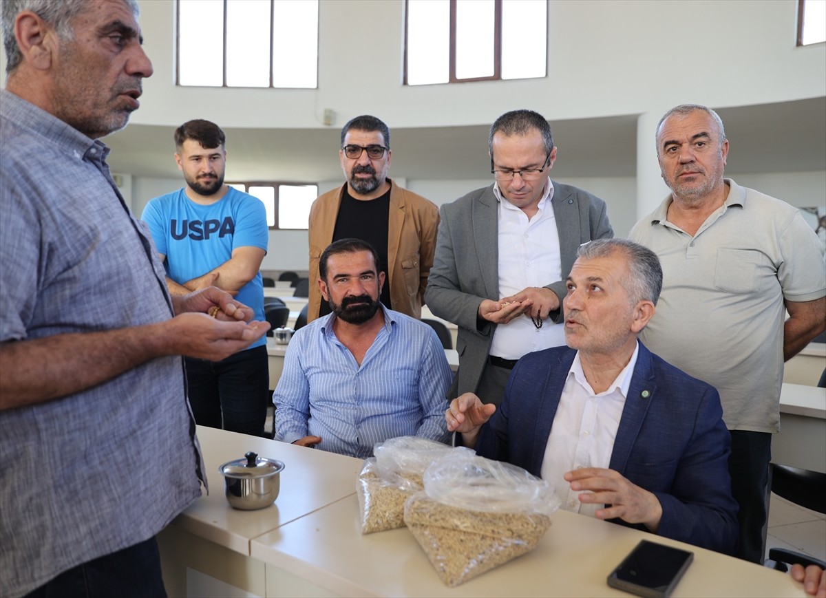 Mardin'in Kızıltepe ilçesinde arpa hasadına başlandı. Kırsal Aktulga Mahallesi'nde çiftçi Mehmet...