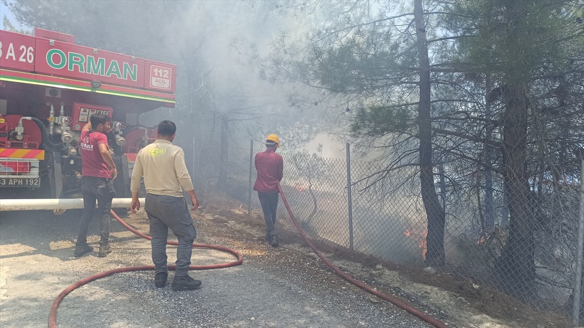 Mersin'in Tarsus ilçesinde, otomobilde çıkıp ormanlık alana sıçrayan yangın söndürüldü.