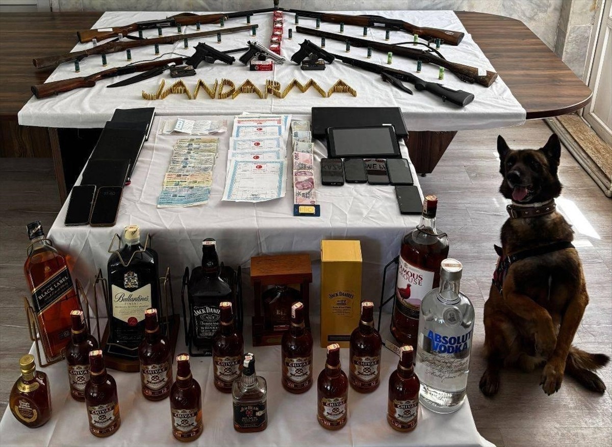 Muğla'nın Köyceğiz ilçesinde düzenlenen tefecilik operasyonunda 7 şüpheli gözaltına alındı....