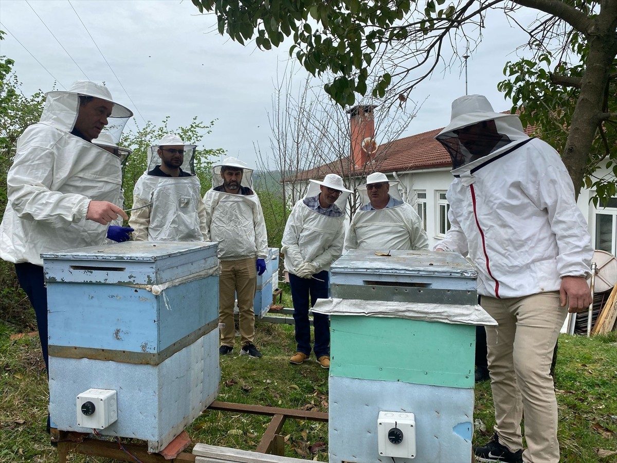Ordu Arıcılık Araştırma Enstitüsü'nde birçok ülkeden belirli periyotlarla gelen bal üreticilerine...