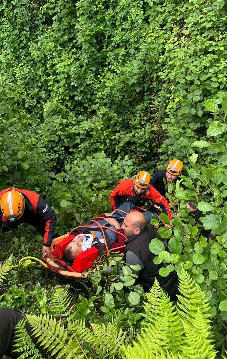 Rize'de çay hasadı sırasında yamaçtan yuvarlanan kişi yaralandı. Patika yoldan olay yerine ulaşan...
