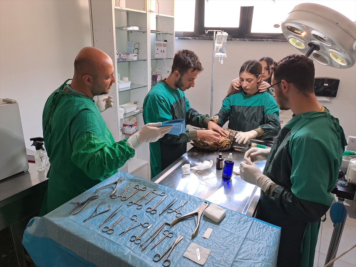 Sakarya'da yaralı halde bulunan ve kanadı ampute edilen puhu kuşu, yaşamının kalanını hayvanat...