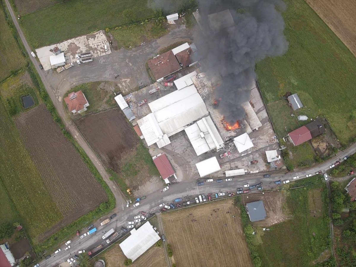  Sakarya'nın Karasu ilçesindeki fındık kırım fabrikasında çıkan yangına itfaiye ekipleri müdahale...