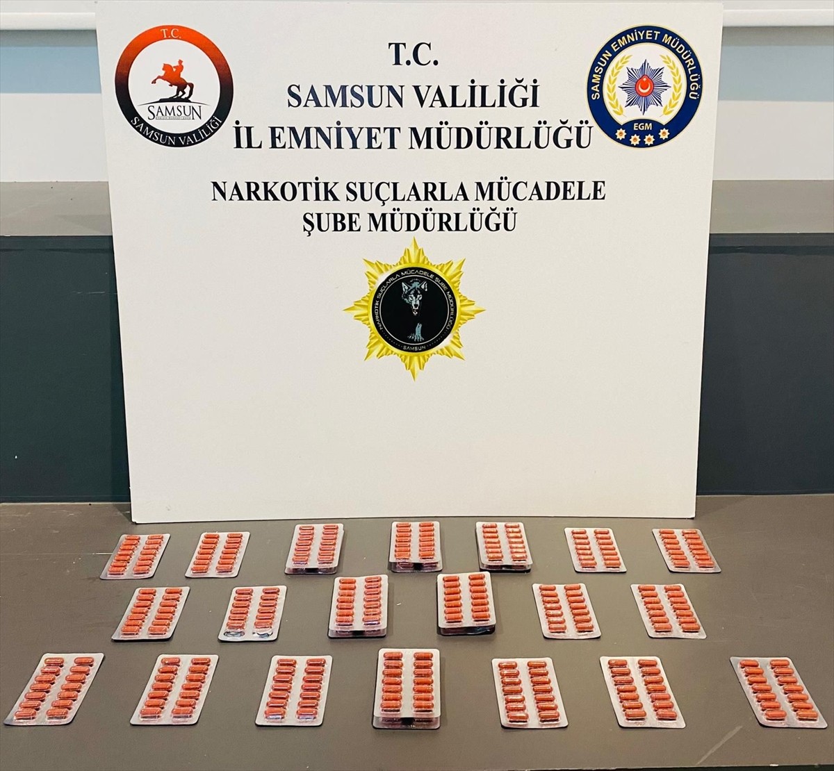 Samsun'un Havza ve İlkadım ilçelerinde düzenlenen uyuşturucu operasyonunda 6 şüpheli gözaltına...