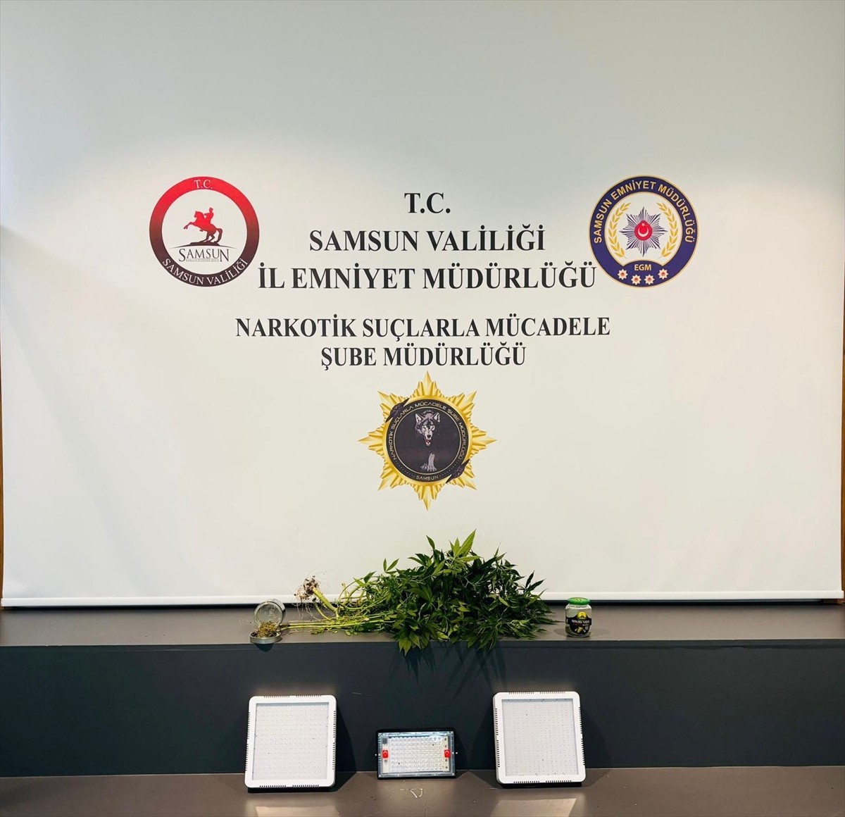 Samsun'un merkez İlkadım ilçesinde evde kurdukları serada kenevir yetiştirdikleri belirlenen 2...