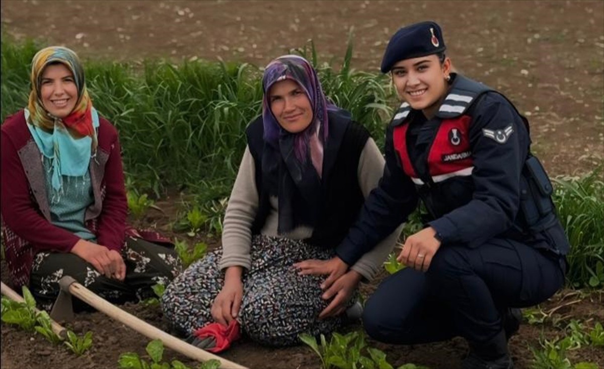 Samsun'un Vezirköprü ilçesinde jandarma ekipleri, tarlada çalışan kadınların 1 Mayıs Emek ve...