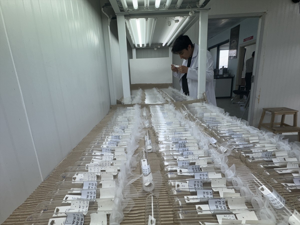 Tarım ve Orman Bakanlığı Tarımsal Araştırmalar ve Politikalar Genel Müdürlüğü koordinasyonunda...