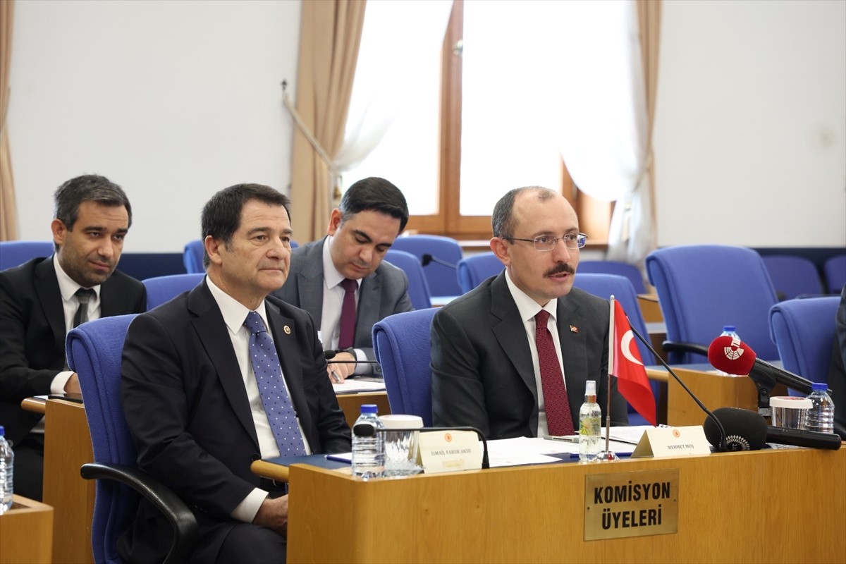 TBMM Plan ve Bütçe Komisyonu Başkanı ve AK Parti Samsun Milletvekili Mehmet Muş (sol 5)...