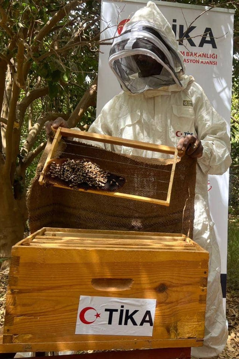 Türk İşbirliği ve Koordinasyon Ajansı Başkanlığı (TİKA), Sudan'ın Nil Nehri eyaletinde 25 arıcıya...