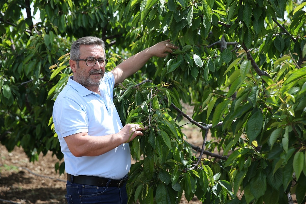 Türkiye Ziraat Odaları Birliği (TZOB) Genel Başkanı Şemsi Bayraktar, Eskişehir'in Mihalıççık...