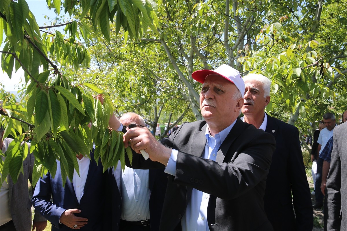 Türkiye Ziraat Odaları Birliği (TZOB) Genel Başkanı Şemsi Bayraktar, Tokat'ta dondan etkilenen...
