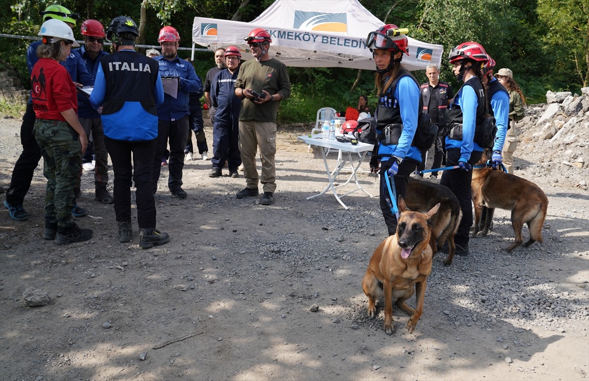 2025 FCI Dünya Arama Kurtarma Köpekleri Ekip Şampiyonası'nda dereceye giren köpekler ve...