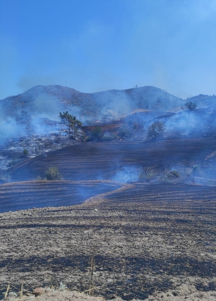 Adana'nın Çukurova ilçesinde tarladan ormana sıçrayan yangın havadan ve karadan müdahaleyle...