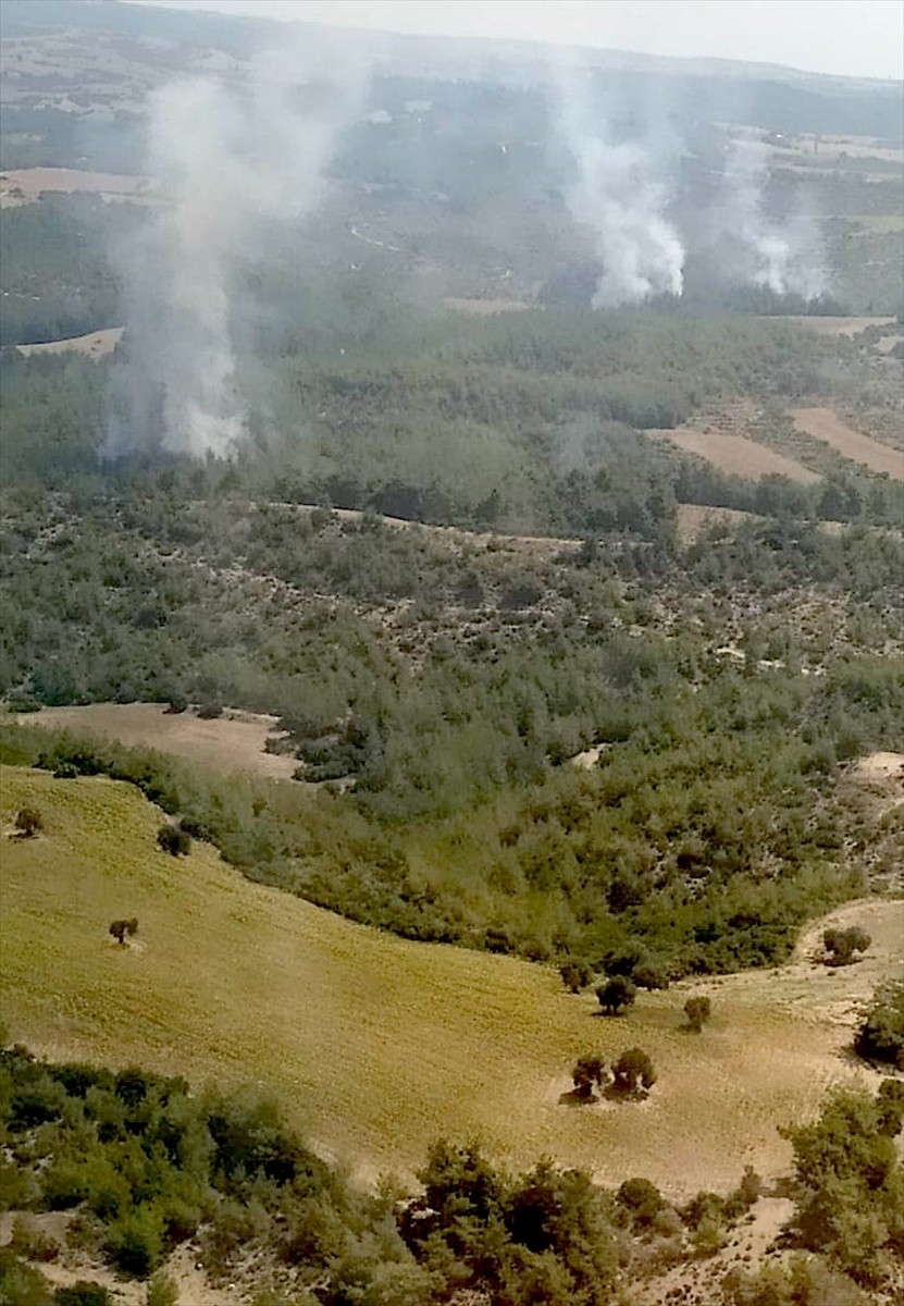 Adana'nın İmamoğlu ilçesinde çıkan orman yangına havadan ve karadan müdahale ediliyor.