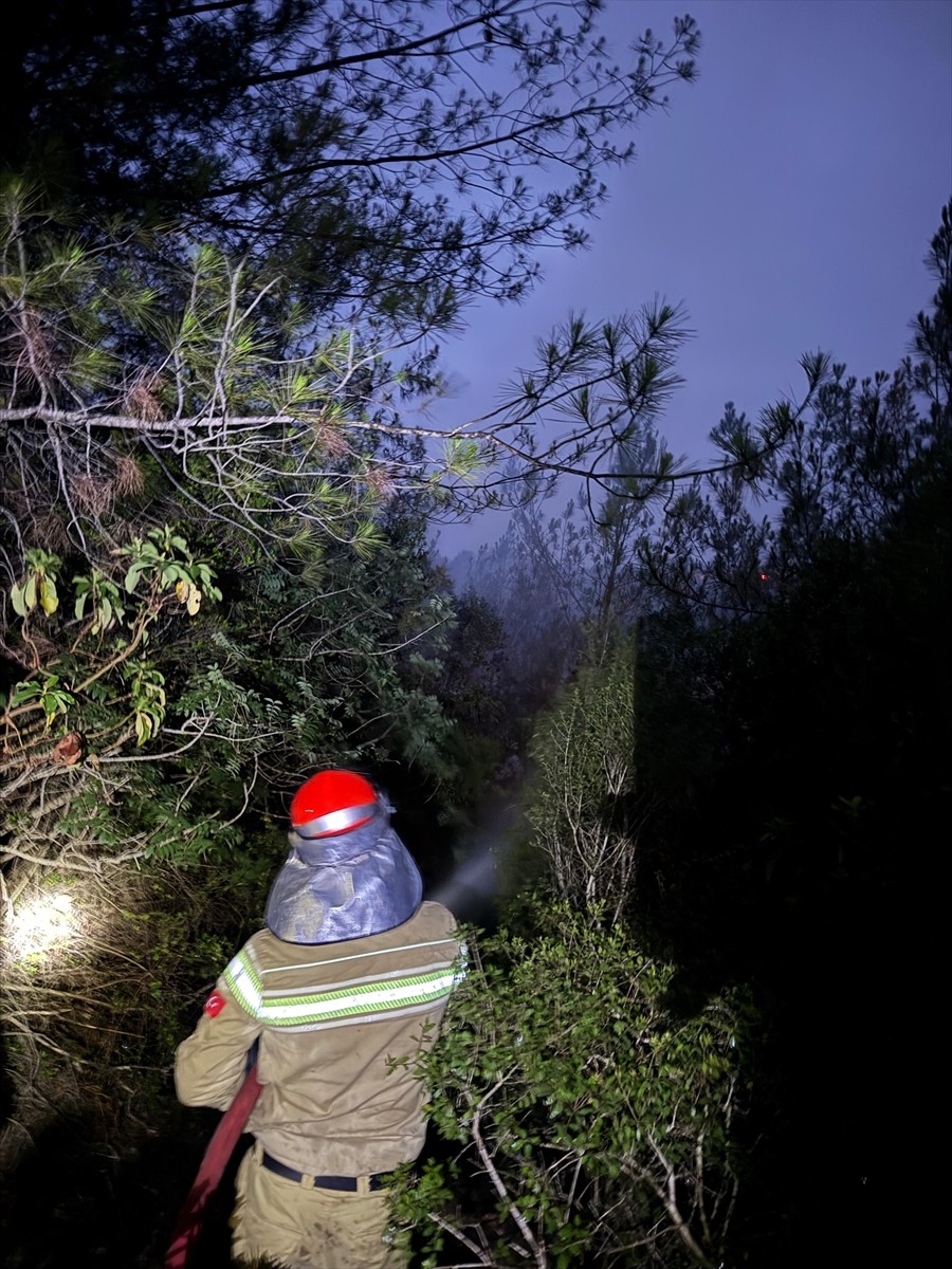 Adana'nın İmamoğlu ilçesinde ormanlık alanda çıkan yangın, karadan müdahaleyle kontrol altına...