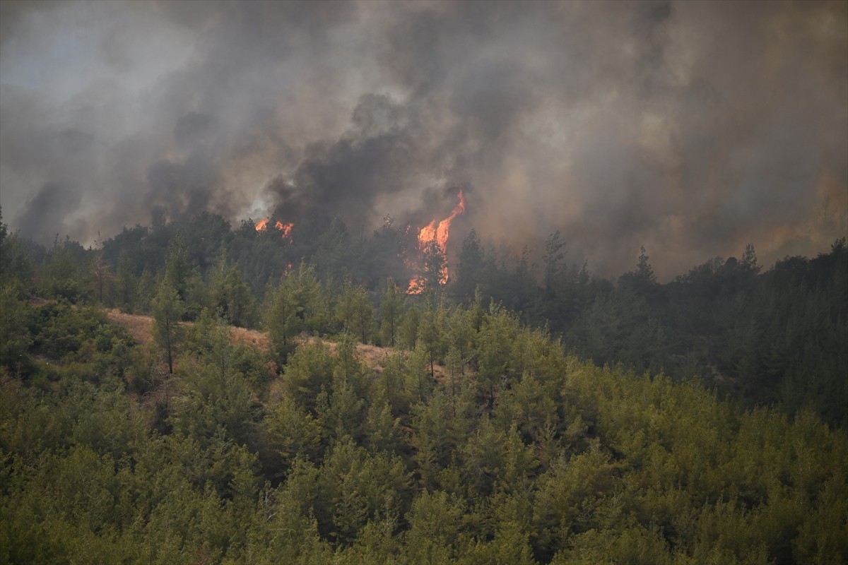 Adana'nın merkez Çukurova ilçesinde çıkan orman yangını havadan ve karadan müdahaleyle kontrol...