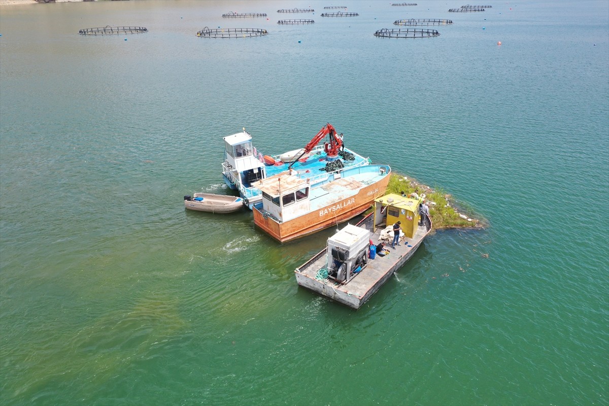 Adıyaman'ın Çelikhan ilçesindeki Çat Barajı'nda bulunan, tescilli tabiat varlığı yüzen adaların...