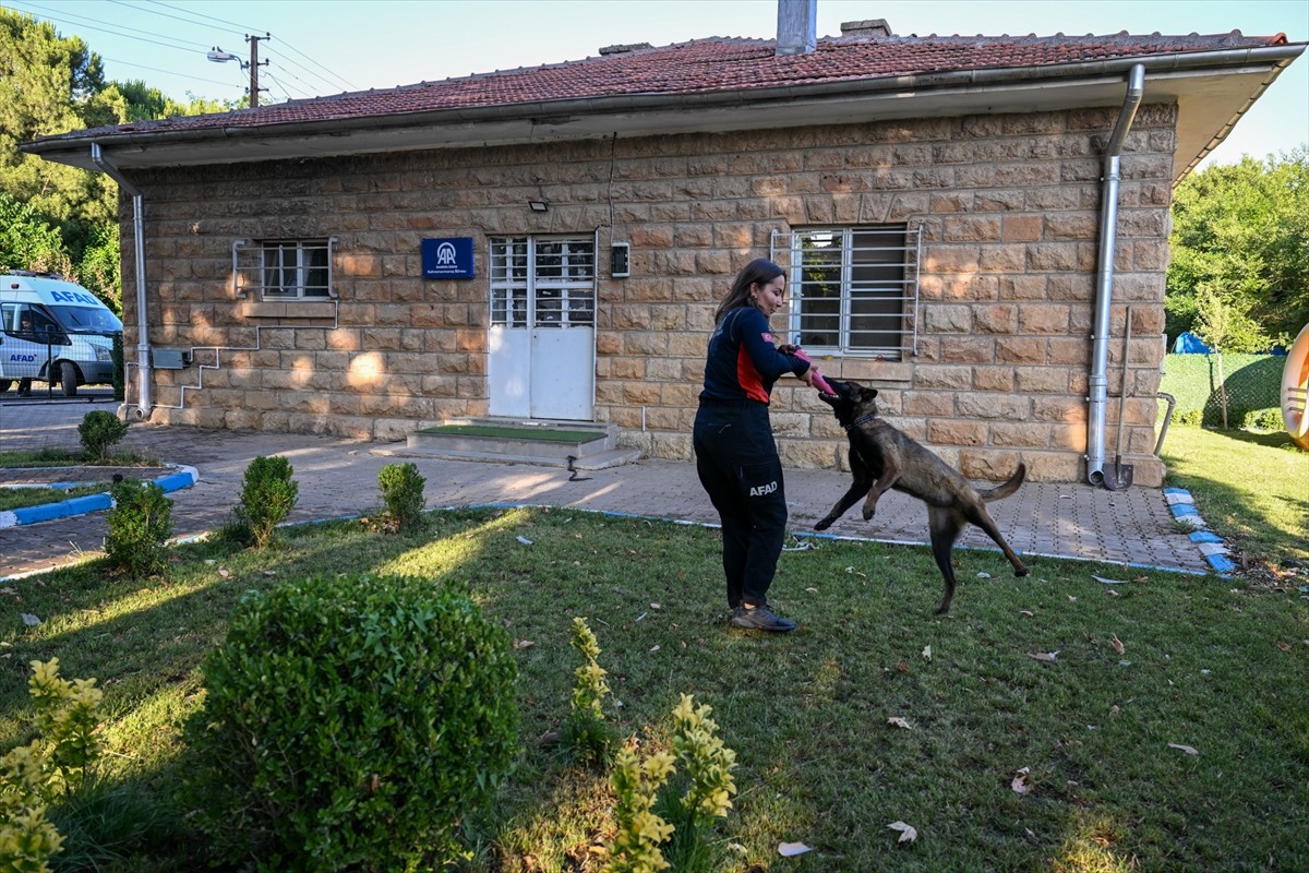 Anadolu Ajansı (AA) Kahramanmaraş muhabirleri tarafından yaklaşık 1 ay önce barınaktan...