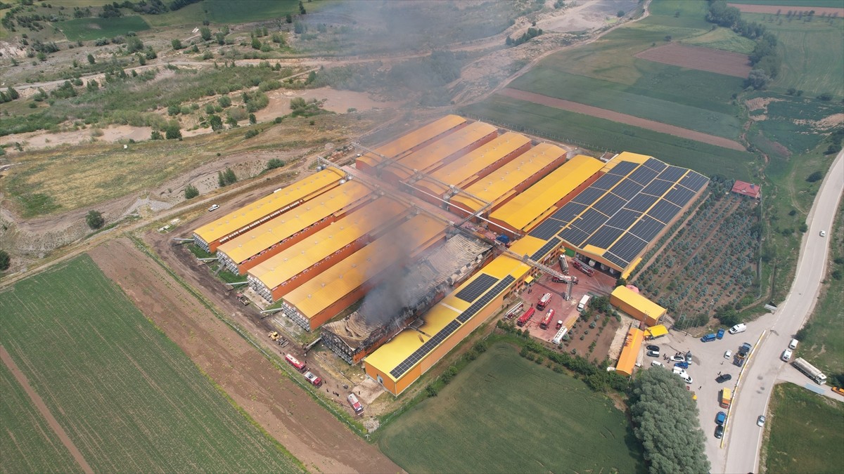 Ankara'nın Çubuk ilçesinde bir firmaya ait yumurta üretim tesisinde çıkan yangında 1 kişi dumandan...