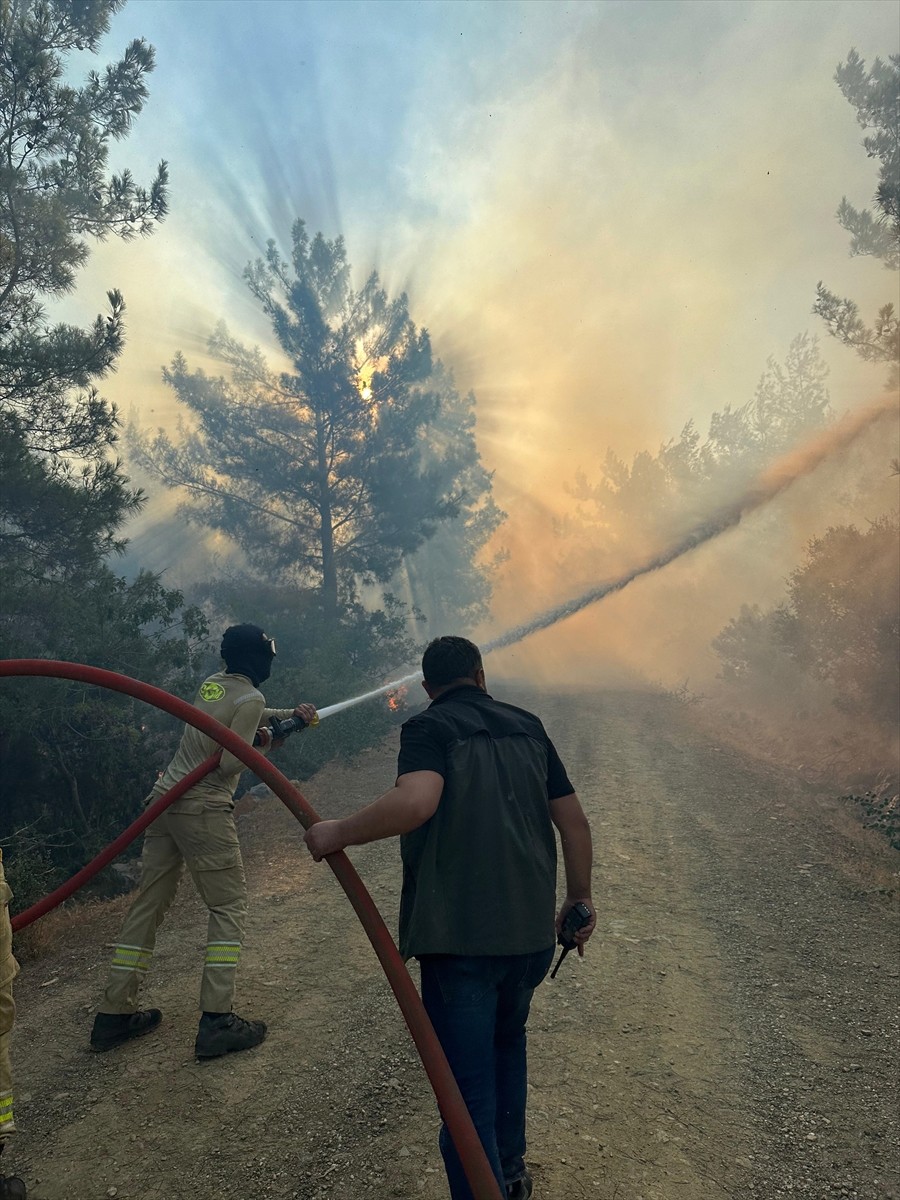 Antalya'nın Gazipaşa ilçesinde çıkan orman yangınına müdahale ediliyor.
